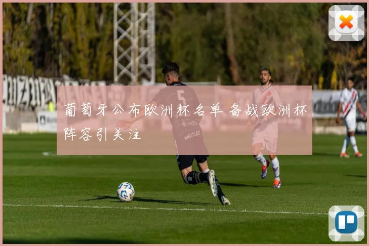 葡萄牙公布欧洲杯名单 备战欧洲杯阵容引关注