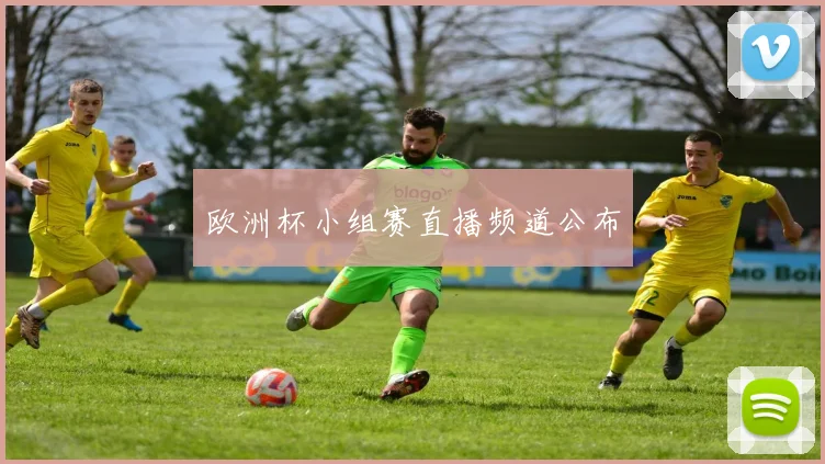 欧洲杯小组赛直播频道公布