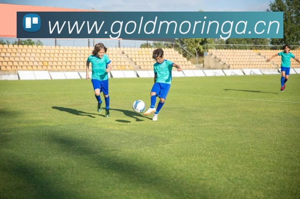 数据防护可视化